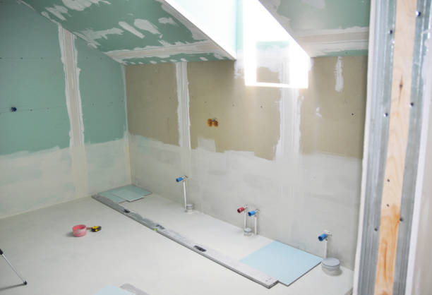 Trusted Mount Zion, IL Mold Removal Experts