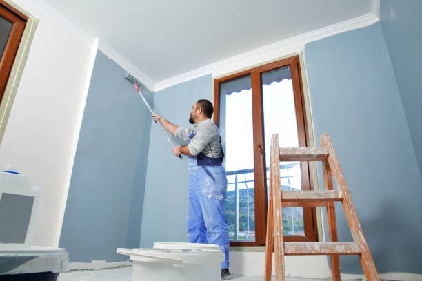 Best Attic Mold Removal  in Mount Zion, IL
