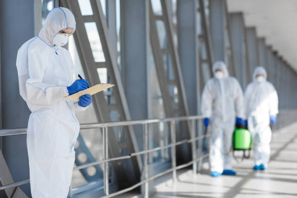 Best Post-Remediation Verification Testing  in Mount Zion, IL