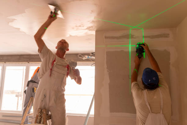 Mold Removal for HVAC Installations in Mount Zion, IL